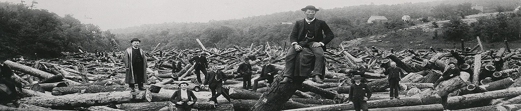 A log jam man sitting on log. 
