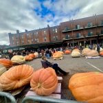 Harvest Fest photo by Lonnie Lovness 1 scaled